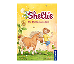 Sheltie - Wie Sheltie zu uns kam