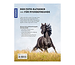 Was denkt mein Pferd?