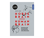 Horse Brain Human Brain