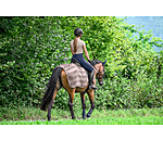 Coprireni antimosche Economy Light