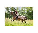 Coprireni antimosche Economy Light