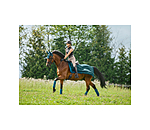 Coprireni antimosche Economy Light