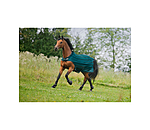 Coperta antimosche da giostra Economy Light