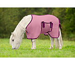 Coperta antimosche per puledri e Mini Shetland Kubi Fly