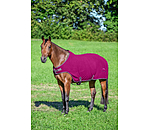 Coperta da giostra in pile Activity