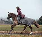 Coperta da passeggiata in softshell con collo rimovibile Alecto