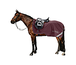 Coperta da passeggiata in softshell con collo rimovibile Alecto