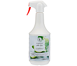 Spray districante aloe vera