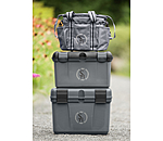 Borsa grooming Cambridge