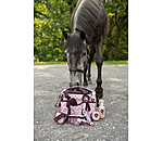 Borsa grooming per bambini Champion