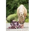 Borsa grooming per bambini Champion