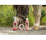 Spray districante brillantinato Champion