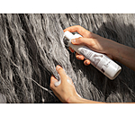 Shampoo schiuma per grigi