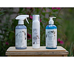 Shampoo schiuma per grigi