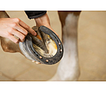 Pasta per fettone & suola