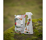 Spray districante Winterwonderland Refill