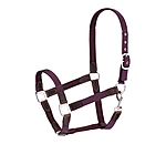 black-violet