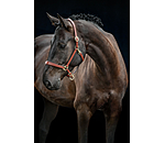 Capezza in cuoio Siri