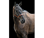 Capezza in cuoio Siri