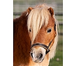 Capezza in cuoio per pony, Shetland e Mini-Shetland Sparkle
