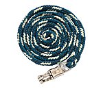 dark-turquoise