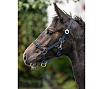 Capezza puledri e Shetland Grow With You