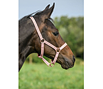 Capezza per puledri e Shetland Shimmering