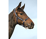 Capezza per puledri e Shetland Shimmering