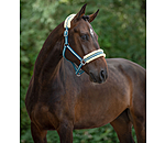 Capezza Shimmering Stripes