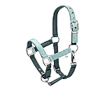 Capezza per puledri e Shetland Twinkle