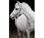 Capezza per puledri e Shetland Twinkle