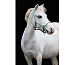Capezza per puledri e Shetland Twinkle