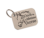 Charm once in a lifetime horse