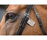 Charm once in a lifetime horse