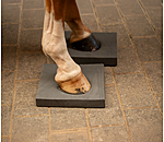 Balance Pad