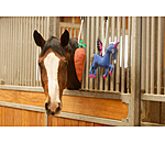 Giocattolo per cavalli Carrot