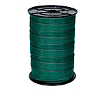 Fettuccia EconomyLine, 200 m - 40 mm