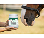 Pellets di spirulina