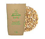 BASIC Avena laminata