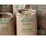 BASIC Avena laminata