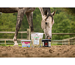 Miscela di erbe Senior