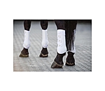 Stinchiere da dressage Perfect Protection, posteriori