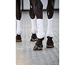 Stinchiere da dressage Perfect Protection, posteriori