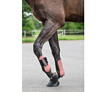 Paratendini a guscio rigido