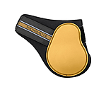 Paranocche