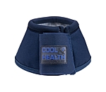 Paraglomi  COOL & HEALTH