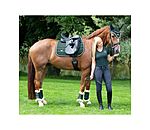 Stinchiere da dressage con pelliccia sintetica Essential, anteriori