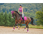 Stinchiere da dressage con pelliccia sintetica Essential, anteriori