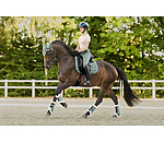 Stinchiere da dressage con pelliccia sintetica Essential, posteriori