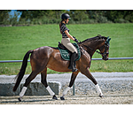 Stinchiere Perfect Protection Air Mesh, anteriori